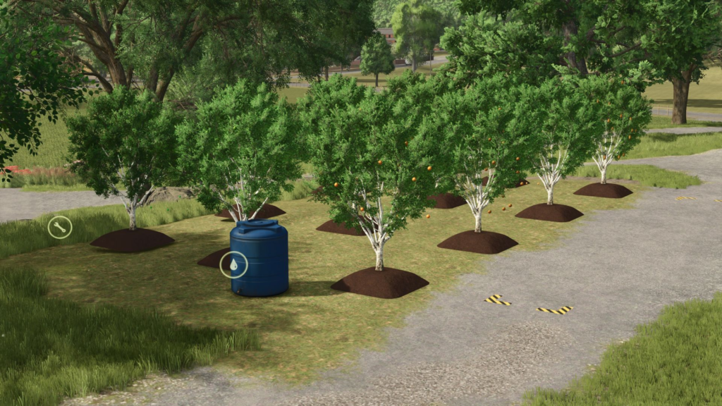 image-509-1024x576 Fruit Tree Plantation