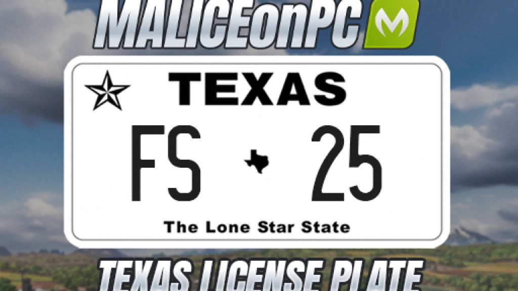 image-80-1024x576 Texas License Plate