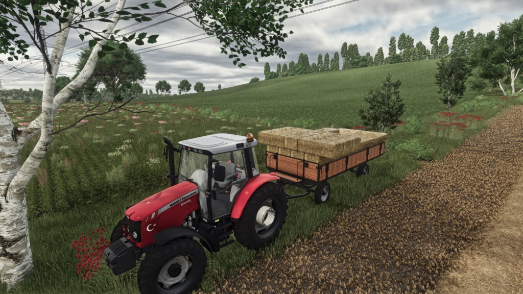 image-2201-1024x576 Small baler and trailer pack