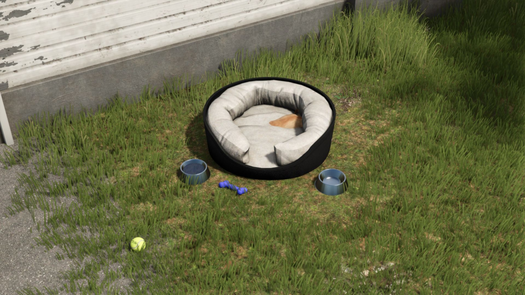 image-807-1024x576 Dog bed package