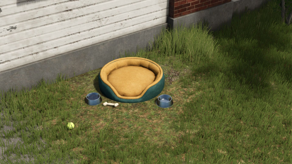 image-808-1024x576 Dog bed package