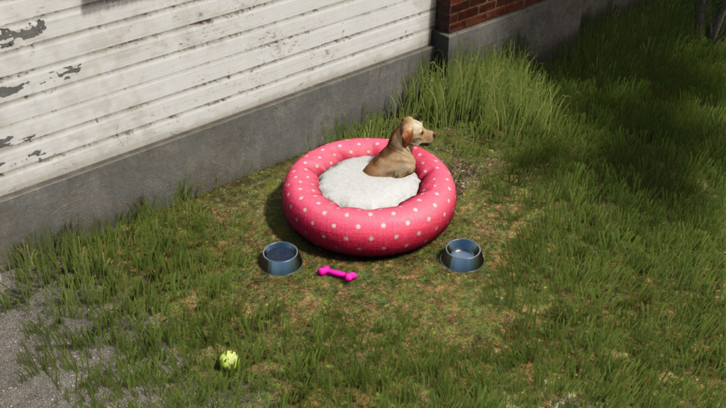 image-809-1024x576 Dog bed package