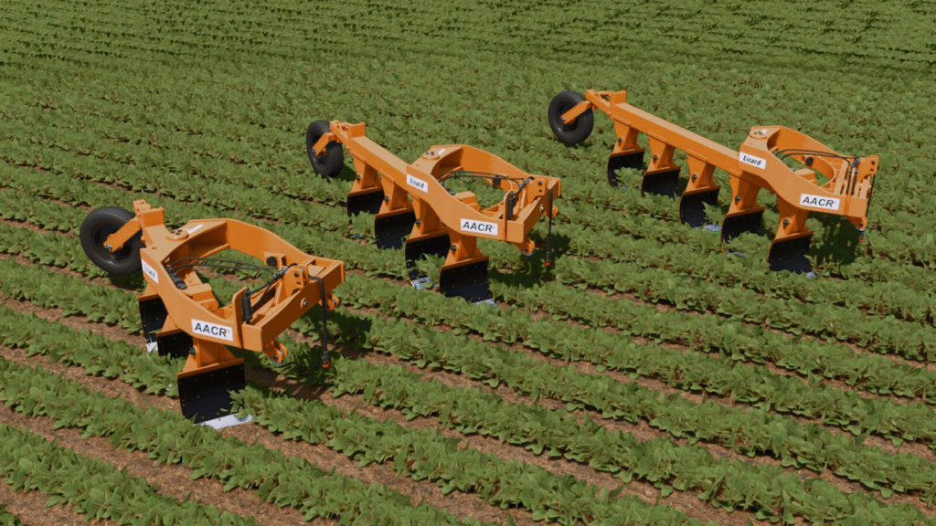 image-1554-1024x576 Lizard AACR2