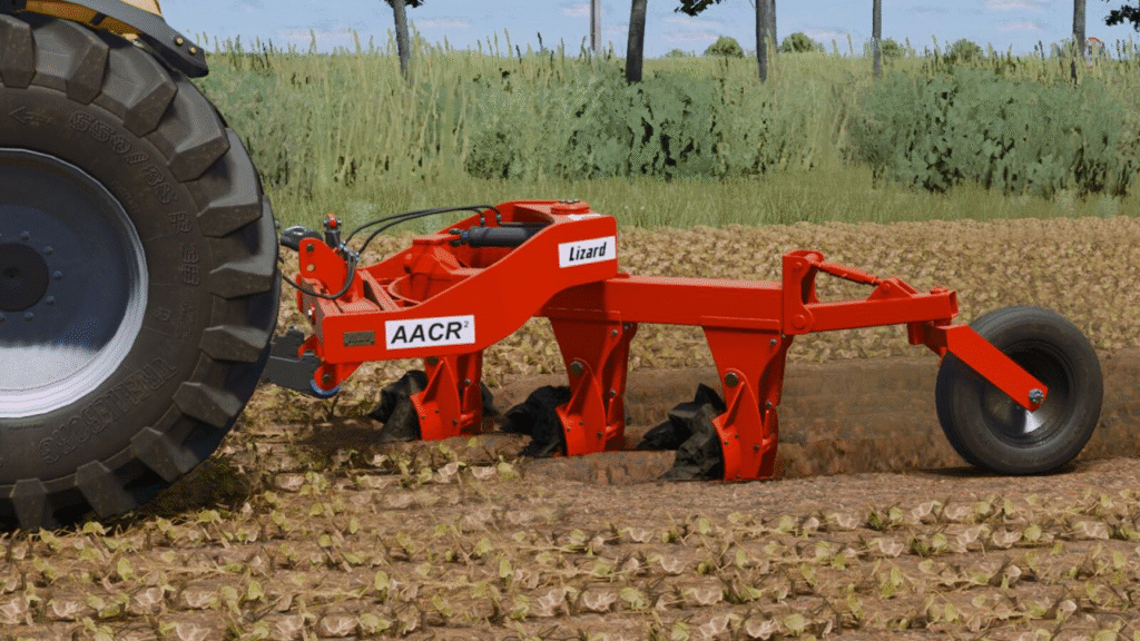 image-1556-1024x576 Lizard AACR2