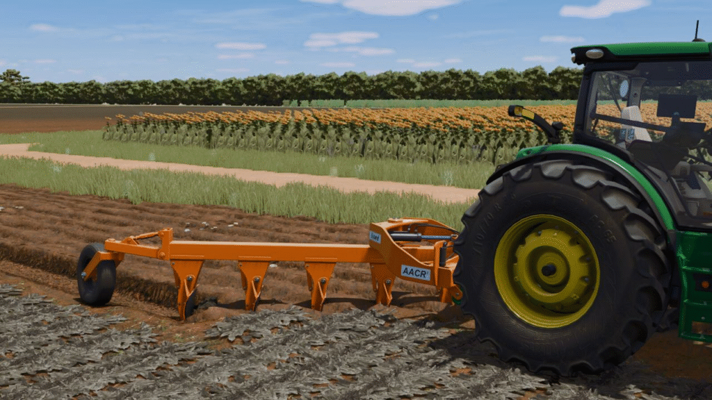 image-1558-1024x576 Lizard AACR2