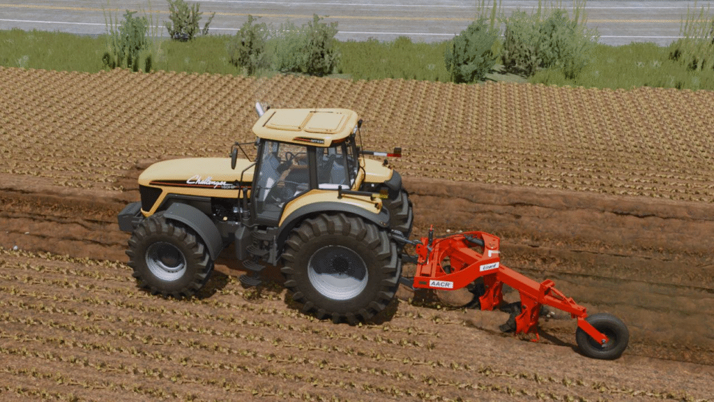 image-1559-1024x576 Lizard AACR2