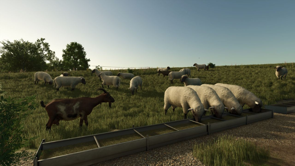 image-242-1024x576 Fenceless Pastures