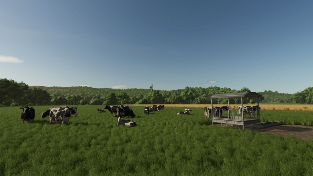 image-244-1024x576 Fenceless Pastures