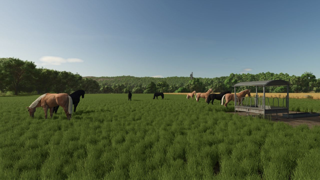 image-245-1024x576 Fenceless Pastures