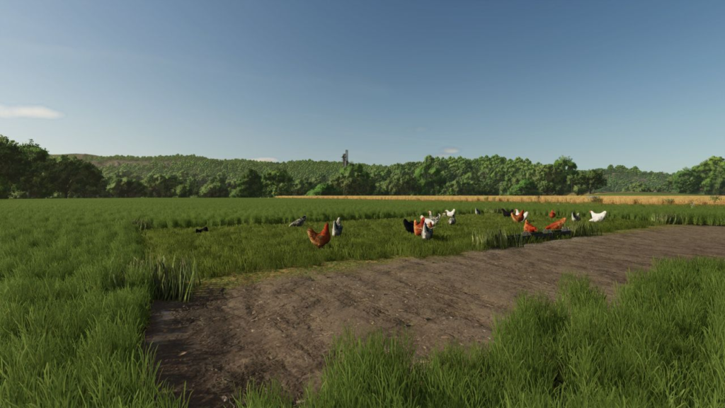 image-246-1024x576 Fenceless Pastures