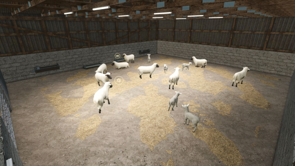 image-1081-1024x576 UK Indoor Sheep Barn