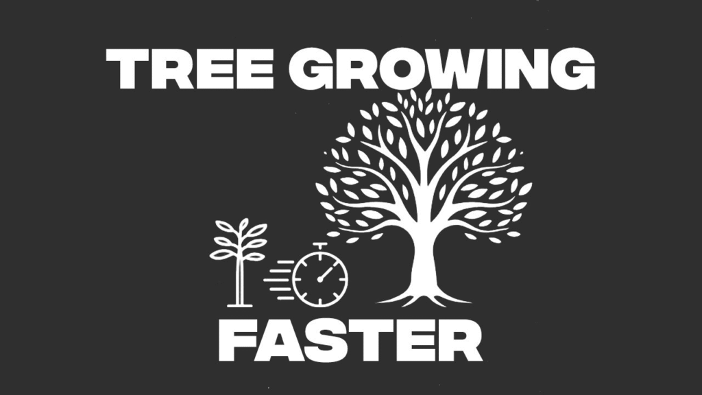 image-1230-1024x576 Trees Growing Faster