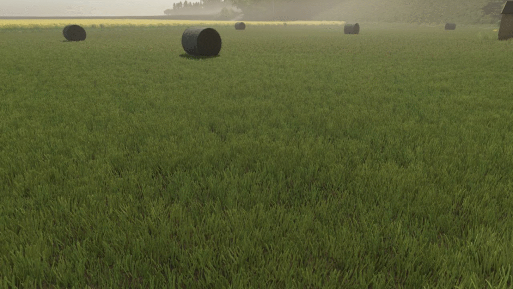 image-2034-1024x576 New Grass Texture