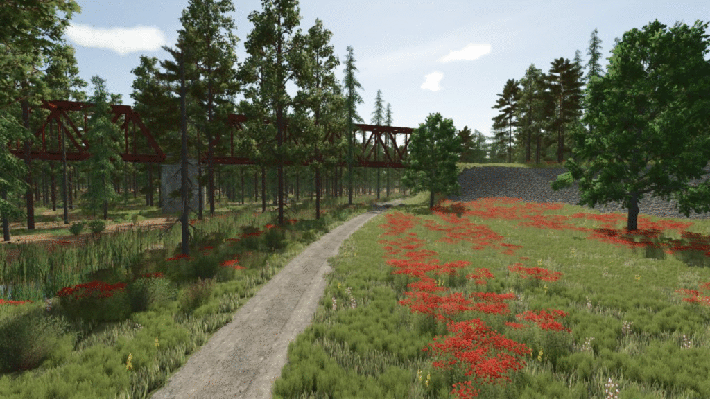 image-537-1024x576 Sunshine Forest