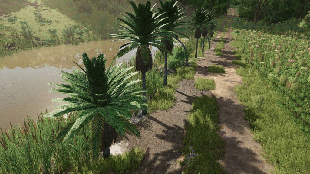 image-1268-1024x576 Coconut Trees