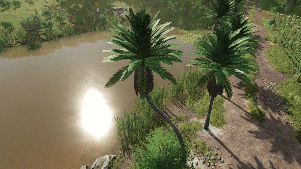 image-1269-1024x576 Coconut Trees