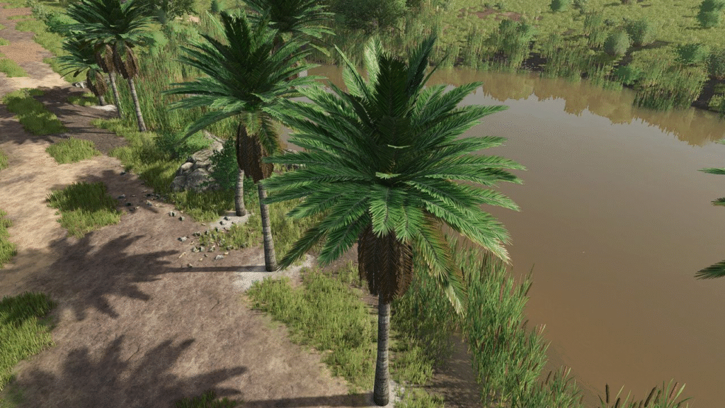 image-1270-1024x576 Coconut Trees
