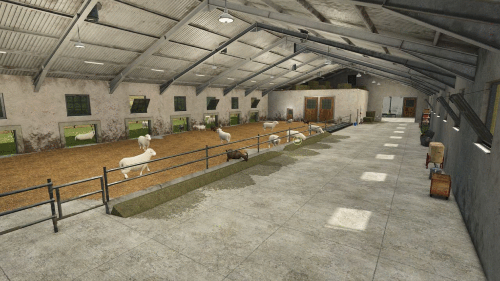 image-1838-1024x576 Lizard Animal Barns