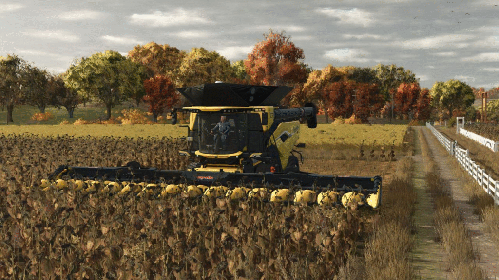 image-2021-1024x576 Capello Quasar HS16