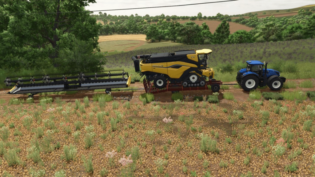 image-1467-1024x576 Agricultural Flatbed Trailer 10M