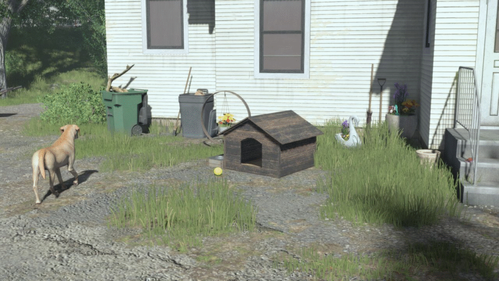 image-1587-1024x576 Wooden Dog House