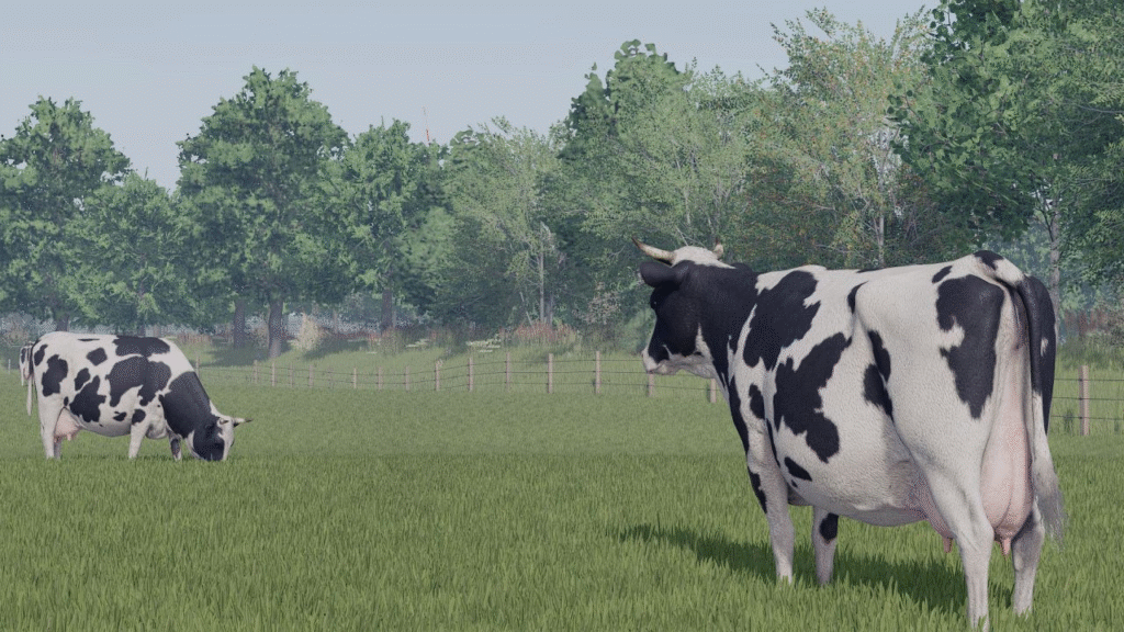 image-1646-1024x576 Tumle23 Modded Shader
