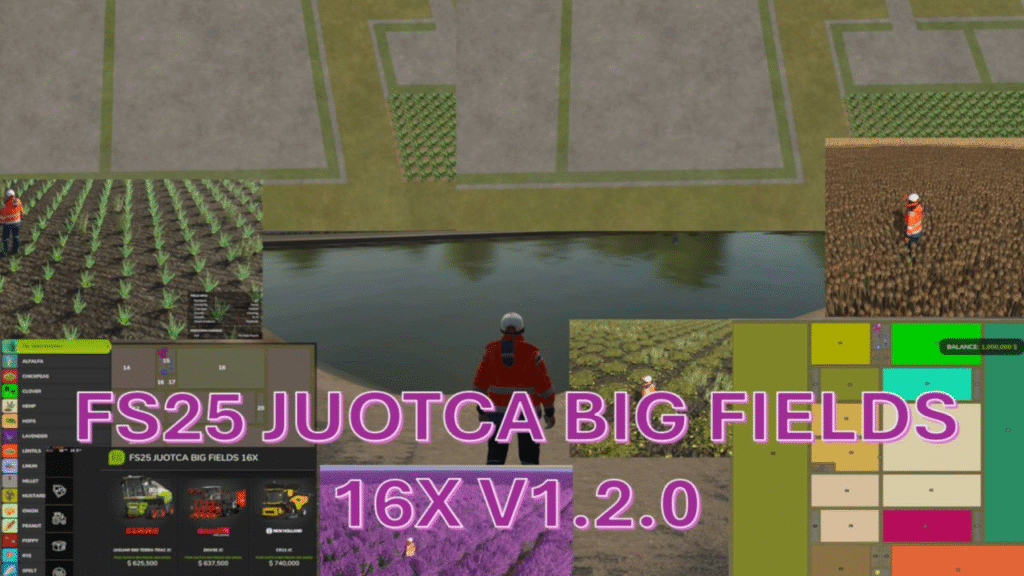 image-1689-1024x576 Juotca Big Fields 16X