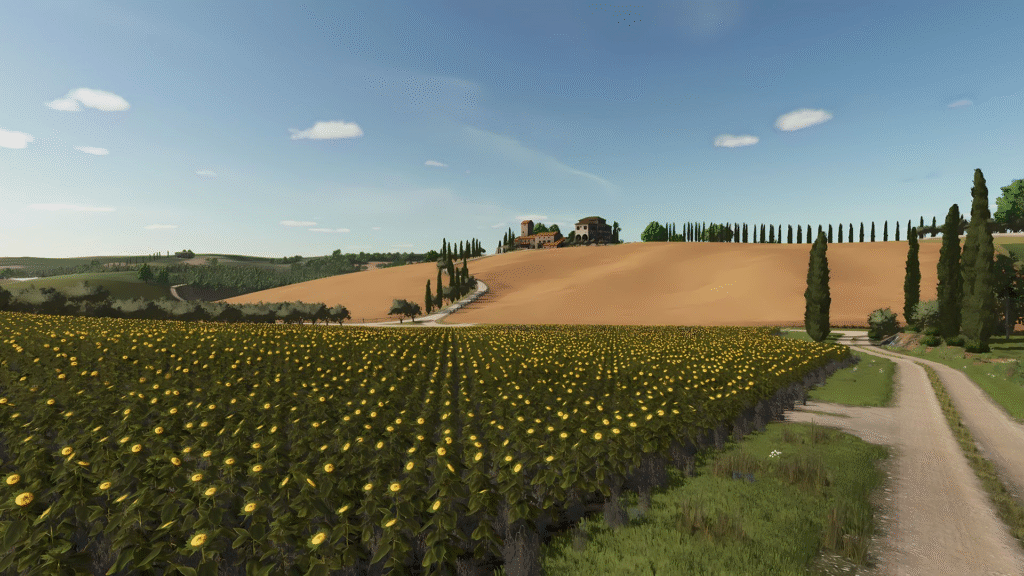 image-1725-1024x576 ETRURIA
