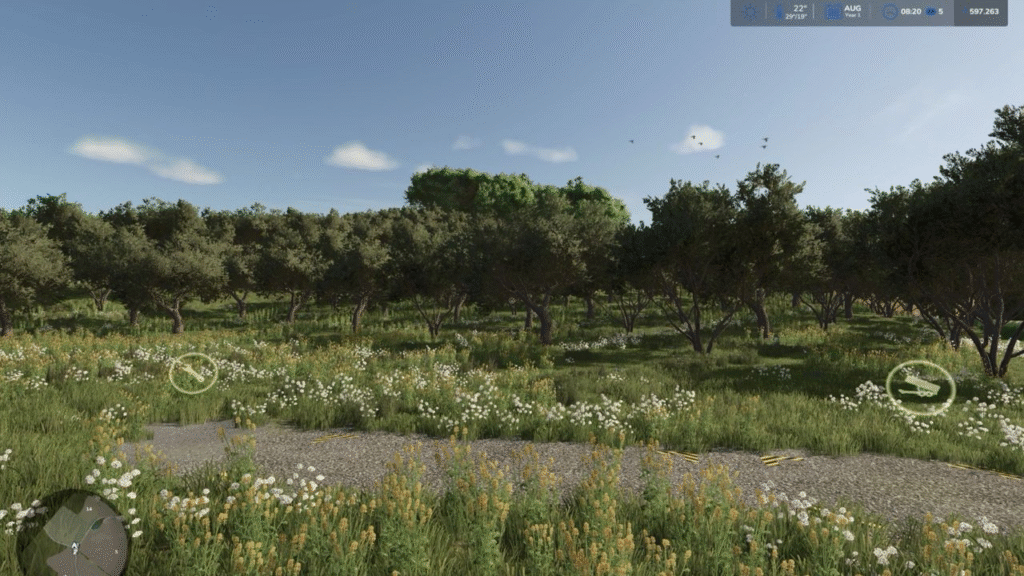 image-1739-1024x576 Olive Orchard Trigger for Etruria