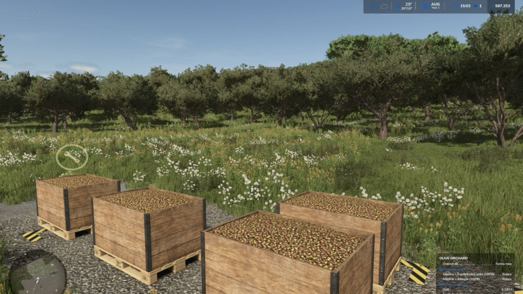 image-1743-1024x576 Olive Orchard Trigger for Etruria