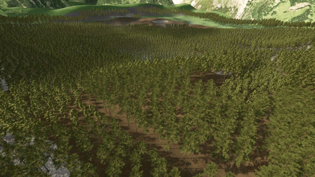 image-1844-1024x576 Forest Challenge