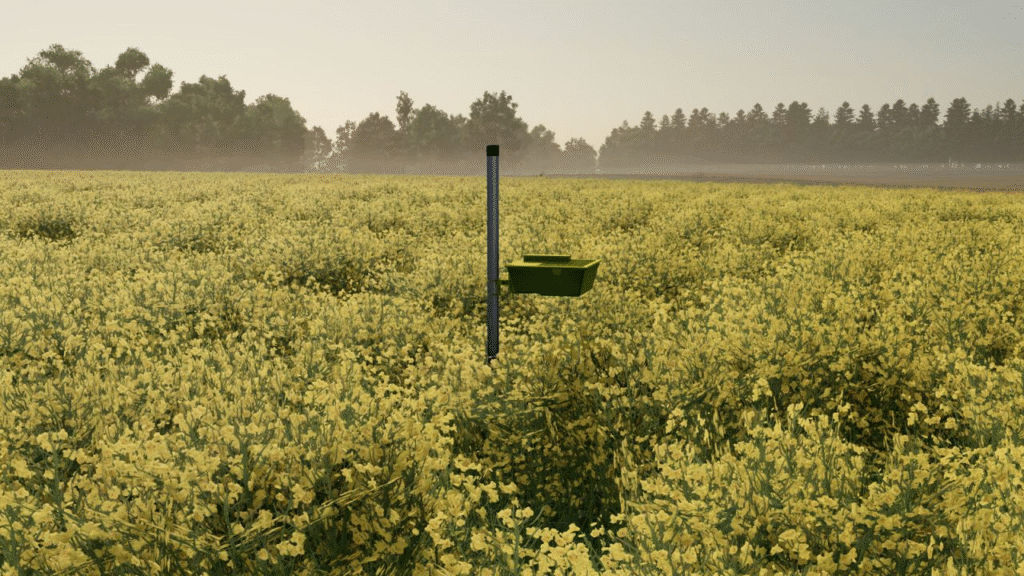 image-1918-1024x576 Yellow Tray