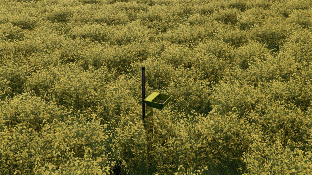 image-1919-1024x576 Yellow Tray