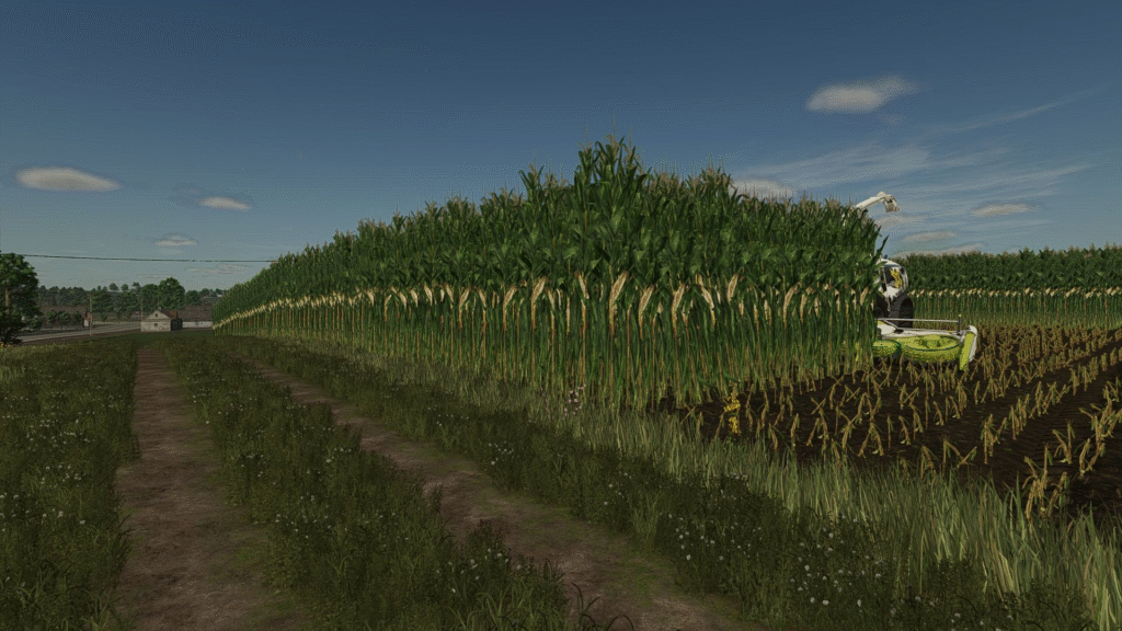 image-2421-1024x576 Maize texture (height changed)