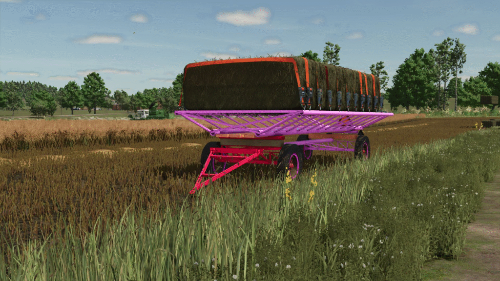 image-823-1024x576 Romanian bale trailer (pink)
