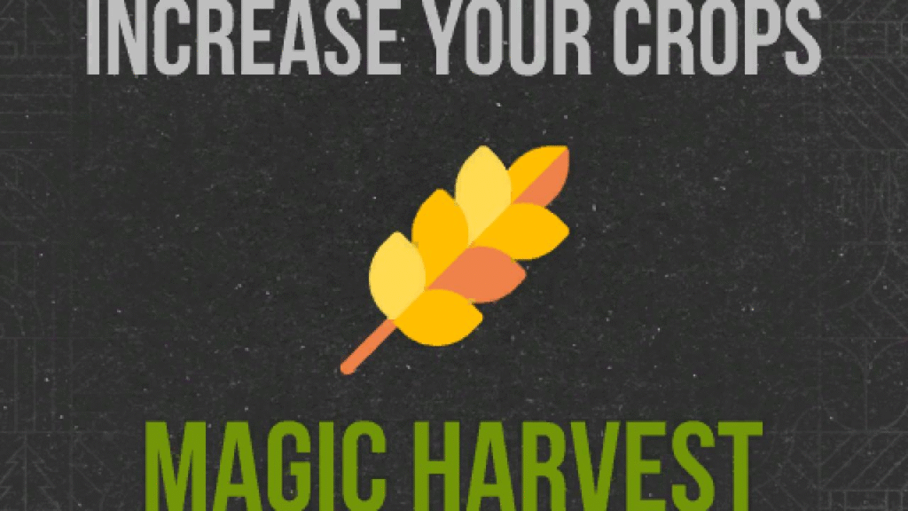 image-1492-1024x576 Magic Harvest