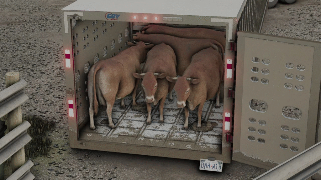 image-2123-1024x576 40ft Eby "PUNCH" Ruff Neck Cattle Trailer