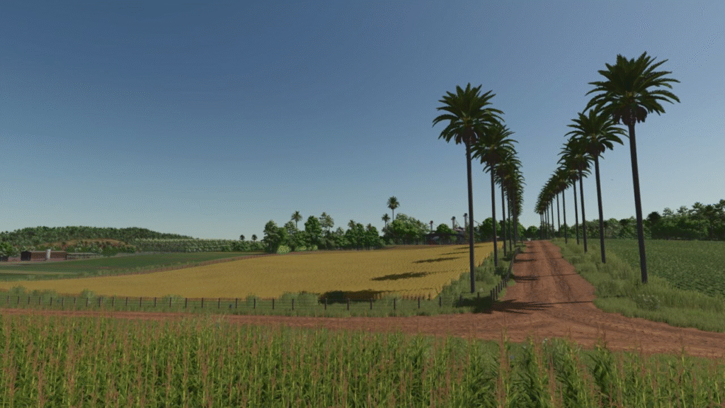image-691-1024x576 BR-163, MS Brazil