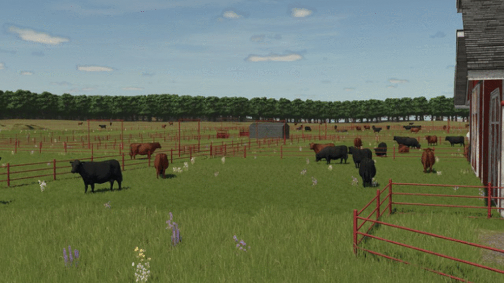 image-949-1024x576 Cowboi Ranch