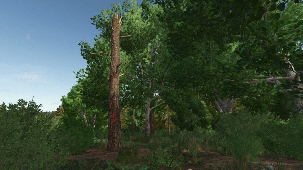 image-1006-1024x576 Advanced Deadwood Missions