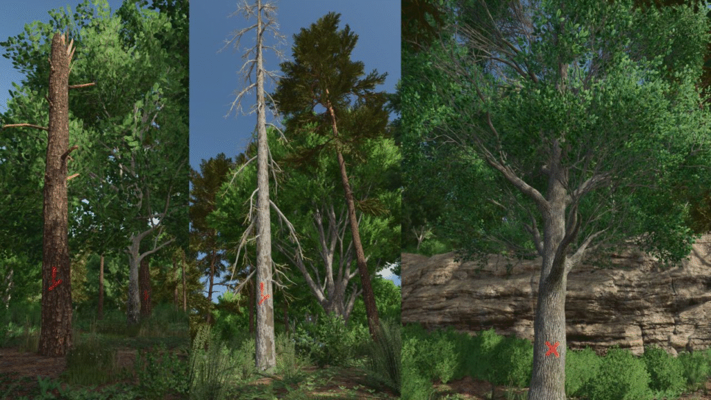 image-1007-1024x576 Advanced Deadwood Missions
