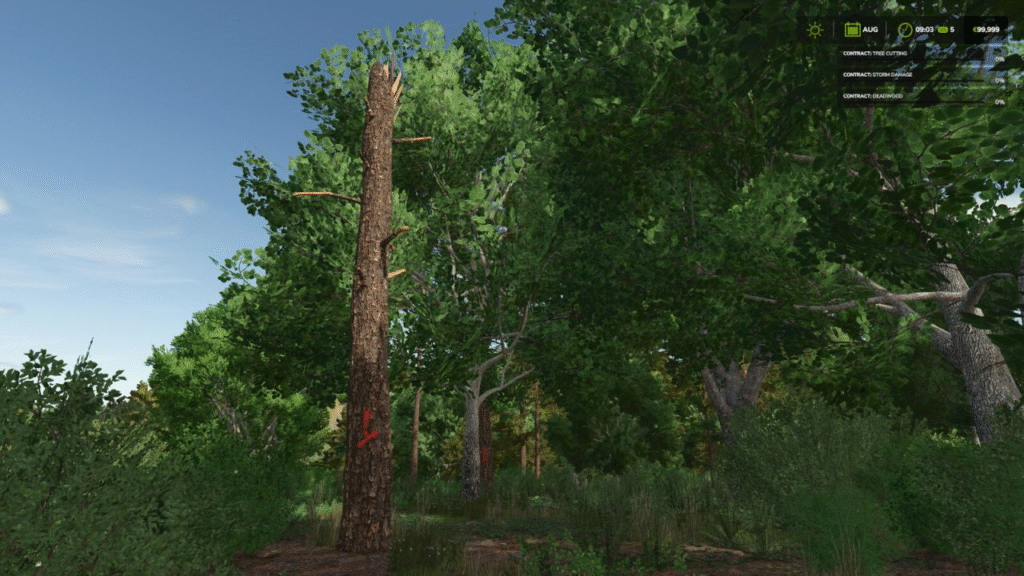 image-1008-1024x576 Advanced Deadwood Missions