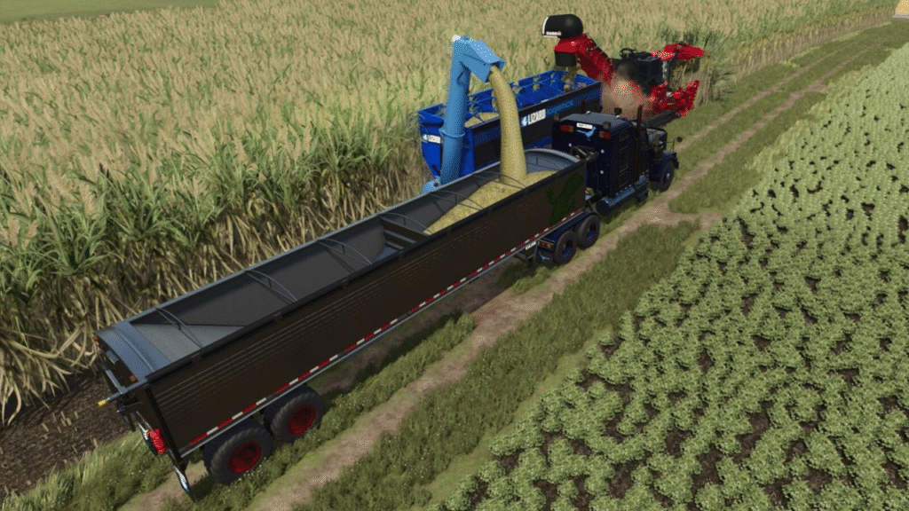 image-1198-1024x576 Lizard Auger Master
