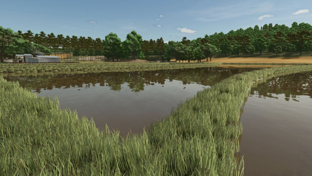 image-1242-1024x576 Rice Fields SA