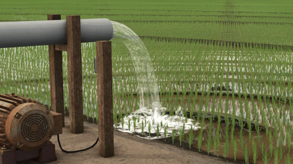 image-1244-1024x576 Rice Fields SA