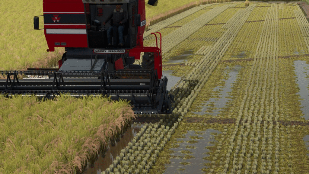 image-1245-1024x576 Rice Fields SA