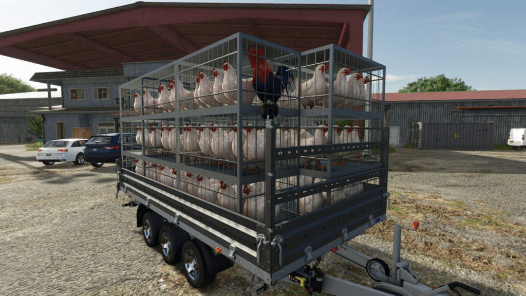 image-171-1024x576 Chicken Transport Trailer Pack