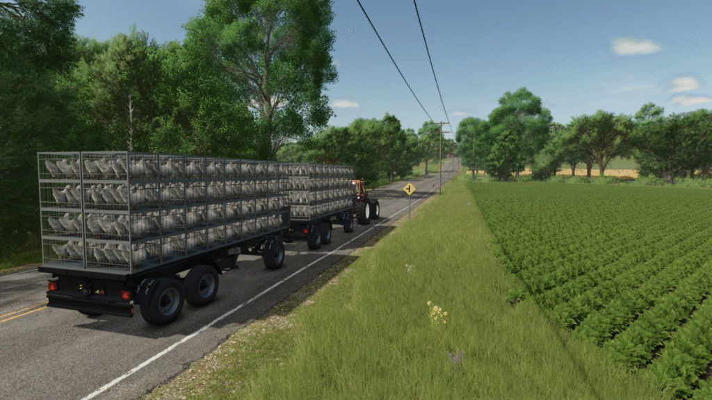 image-173-1024x576 Chicken Transport Trailer Pack