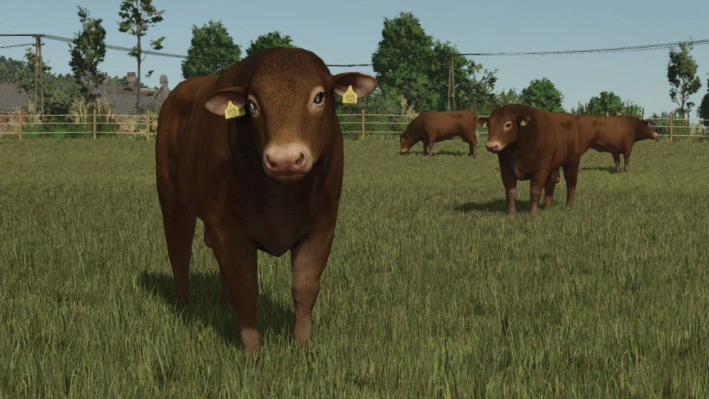 image-1775-1024x576 Animal Package Vanilla Edition