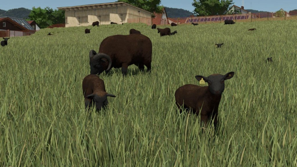 image-1776-1024x576 Animal Package Vanilla Edition